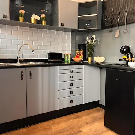 Premium Center Golden Street Apartment Warsaw